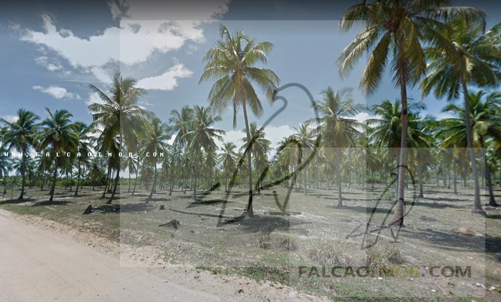 Terreno para Venda em Conde / BA no bairro Sítio do Conde - Conde-Ba - falcaoimob.com